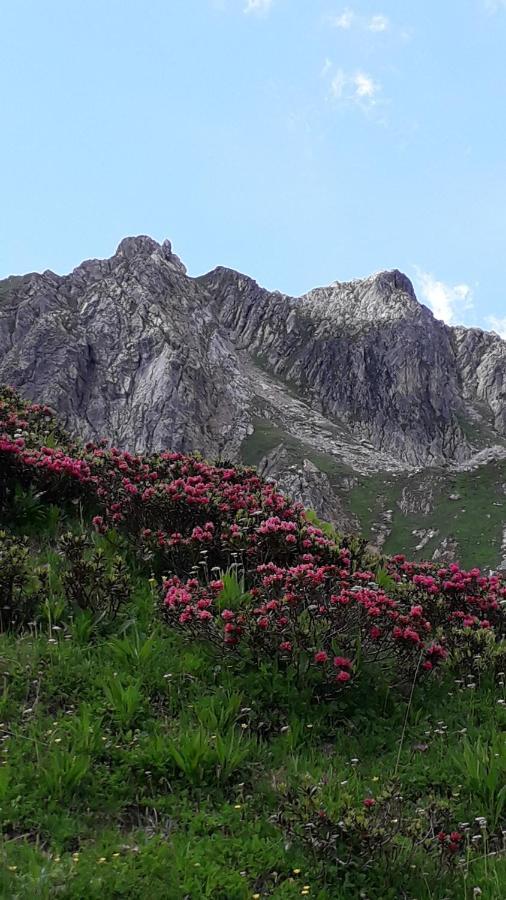 Apartament Les Campanules Bourg-Saint-Maurice Zewnętrze zdjęcie