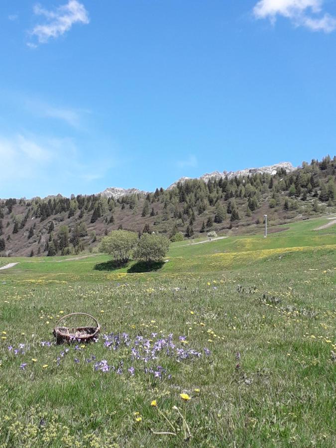 Apartament Les Campanules Bourg-Saint-Maurice Zewnętrze zdjęcie