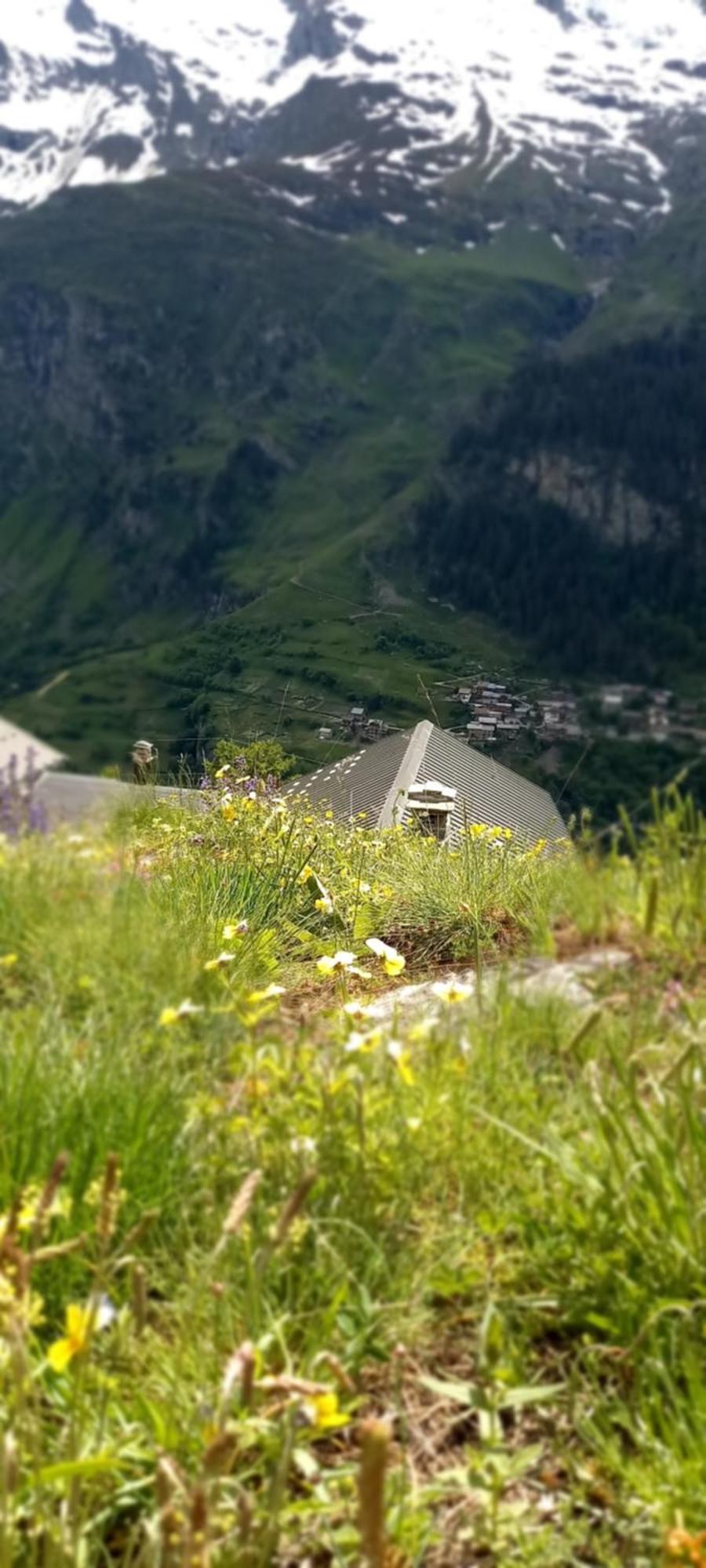 Apartament Les Campanules Bourg-Saint-Maurice Zewnętrze zdjęcie
